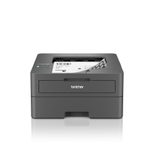 Brother HL-L2400DW Laserdrucker s/w