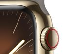 Apple Watch Series 9 (GPS + Cellular) 45mm Edelstahlgehäuse gold, Sportband grau S/M