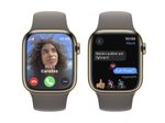 Apple Watch Series 9 (GPS + Cellular) 45mm Edelstahlgehäuse gold, Sportband grau S/M