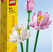 40647 