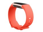 Fitbit Charge 6 Fitness Tracker, Coral/Champagne Gold