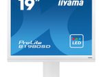 iiyama Monitor ProLite B1980SD-W1 LED-Display 48,3 cm (19") weiß