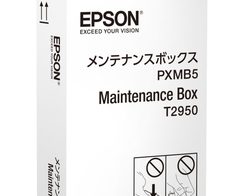 Epson Original Resttintenbehälter für WF-100W (C13T295000)