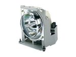 ViewSonic RLC-091 Projektorlampe für ViewSonic PJD6544w