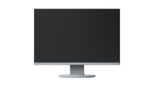 EIZO Monitor FlexScan EV2455-GY LED-Display 61,1 cm ( 24,1") lichtgrau