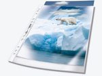 DURABLE Prospekthüllen DIN A4 transparent genarbt 0,08 mm - 50 Stück
