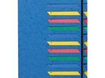 PAGNA Ordnungsmappe 12 Fächer - blau