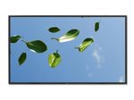 NEC Digital Signage MultiSync V552-DRD LCD-Display 140 cm (55") schwarz
