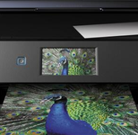 Epson Expression Photo XP-960 Tintenstrahl-Multifunktionsgerät