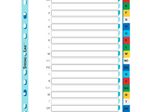 OXFORD Ordnerregister Vollformat A-Z farbig 21-teilig - 1 Satz