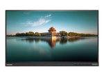 Lenovo ThinkVision T2364t 58,4 cm (23") Touch-LED-Monitor (Full HD, 1920x1080, 7ms, IPS, VGA, DisplayPort,