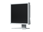EIZO FlexScan S1934H-GY LED-Monitor 48 cm 19 Zoll lichtgrau