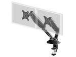 iiyama Dual-Monitorhalterung DS3002C-B1 für Displays bis 27 Zoll