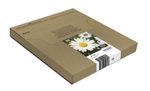 Epson Original Easy Mail Packing 18 Gänseblümchen Druckerpatronen - 4er Multipack (C13T18064511)