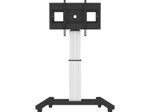 Neomounts PLASMA-M2500SILVER motorisierter Bodenständer für Flachbild-Fernseher bis 100" - Silber