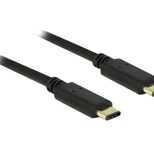 DeLOCK - USB-Kabel - USB-C (M) bis USB-C (M) - USB 2.0 - 3 A - 2 m