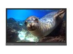 BenQ Digital Signage RP860K LED-Touch-Display 218,44 cm (86") schwarz/metal (9H.F3VTC.DE1)