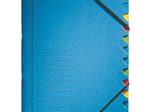 LEITZ Ordnungsmappe 3912 12 Fächer - blau