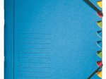 LEITZ Ordnungsmappe 3912 12 Fächer - blau