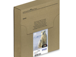 Epson Original Easy Mail Packing 26 Eisbär Druckerpatronen 4er Multipack schwarz cyan magenta gelb (C13T26164511)