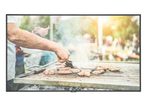 NEC Digital Signage MultiSync C431 LCD-Display 107,9 cm (43"), schwarz