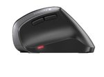 CHERRY MW 4500 ergonomische Maus