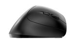 CHERRY MW 4500 ergonomische Maus