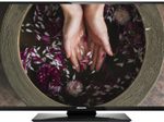 Philips Hospitality Display Studio 24HFL2869T Hotel-TV 60 cm (24") schwarz