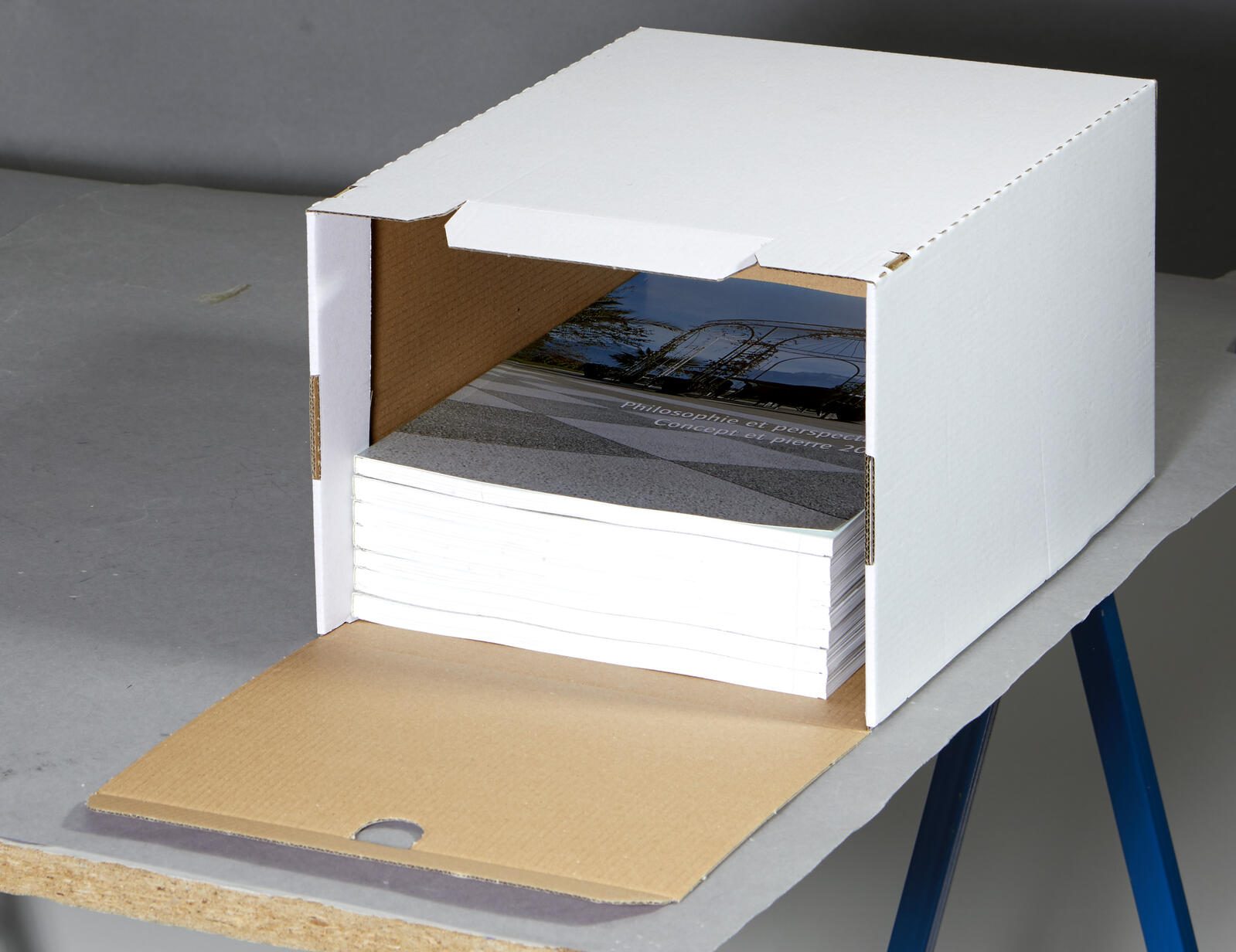 Top-Print Archivboxen für individuelle Aufbewahrung 24,4 x 32,1 x 18,5 cm
