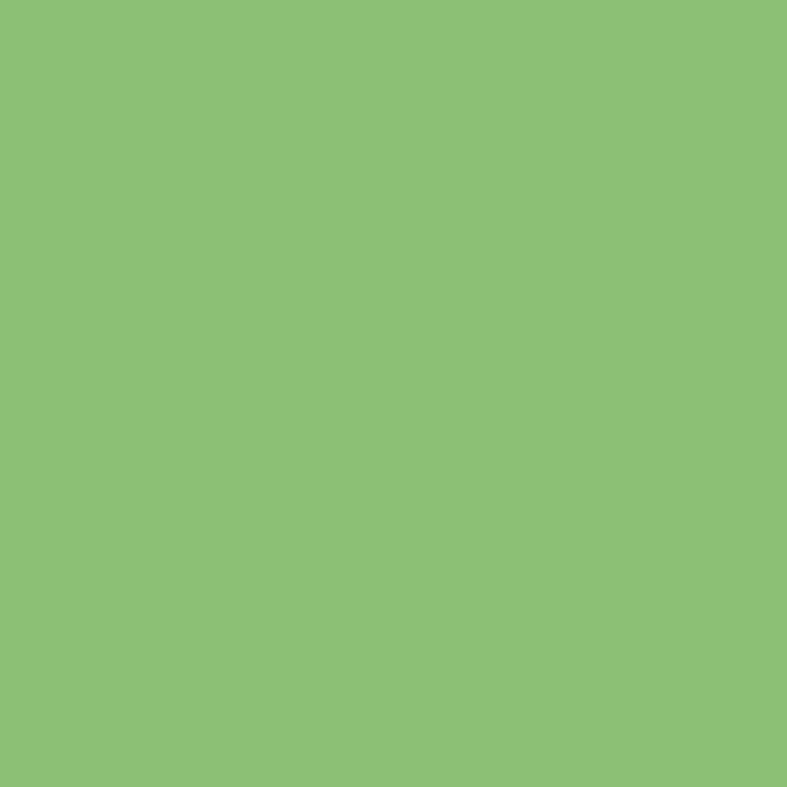 AVERY Zweckform Etiketten 3450 grün 70,0 x 37,0 mm