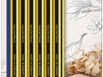 STAEDTLER Bleistifte Noris 120
