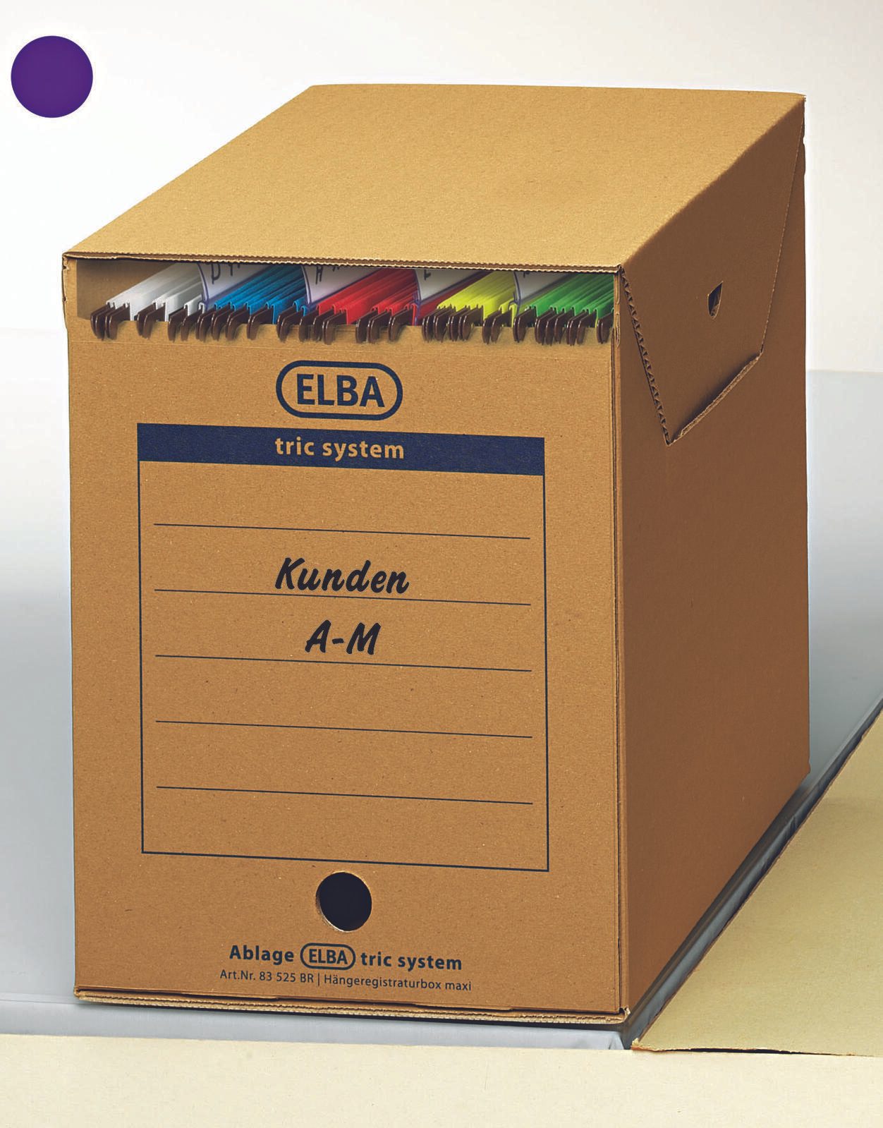 ELBA Archivboxen für lose Dokumente 24,0 x 34,1 x 31,5 cm