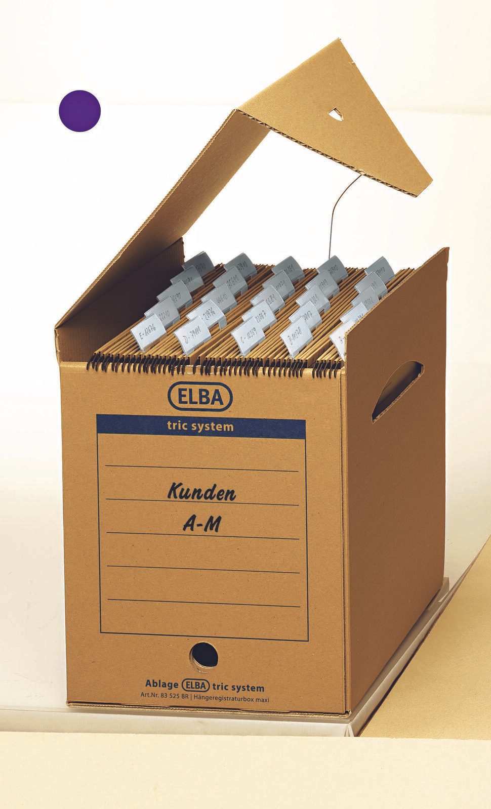 ELBA Archivboxen für lose Dokumente 24,0 x 34,1 x 31,5 cm