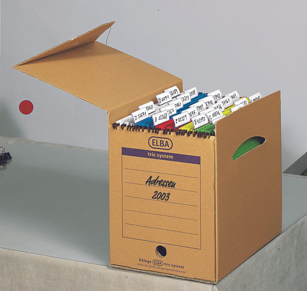 ELBA Archivboxen für lose Dokumente 24,0 x 34,1 x 31,5 cm