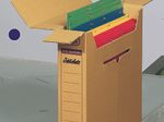 ELBA Archivboxen für lose Dokumente 8,0 x 34,1 x 31,5 cm