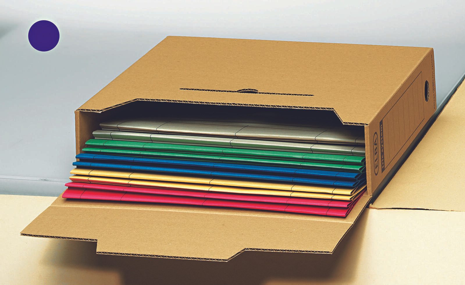 ELBA Archivboxen für lose Dokumente 8,0 x 34,1 x 31,5 cm