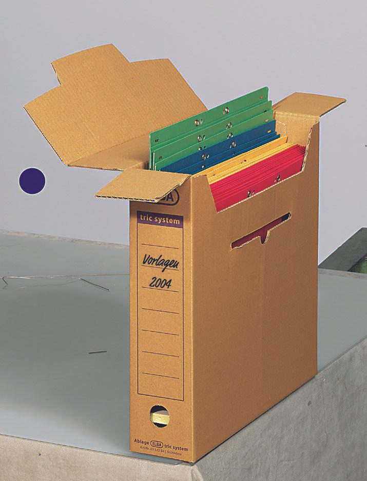 ELBA Archivboxen für lose Dokumente 8,0 x 34,1 x 31,5 cm