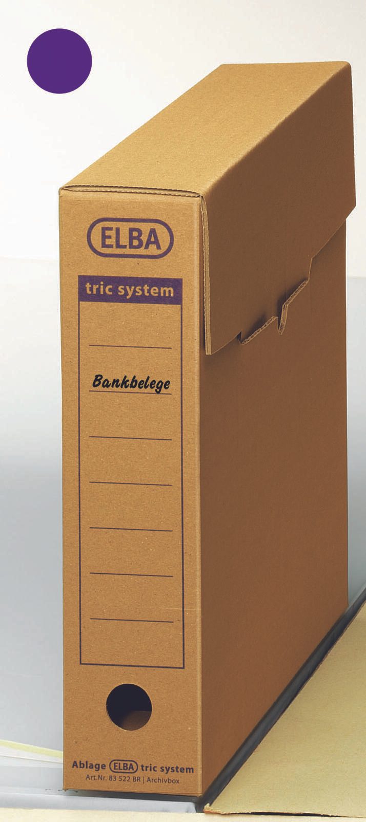 ELBA Archivboxen für lose Dokumente 8,0 x 34,1 x 31,5 cm