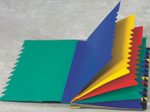 PAGNA Ordnungsmappe DIN A4 24-Fach  schwarz