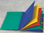 PAGNA Ordnungsmappe DIN A4 24-Fach  schwarz