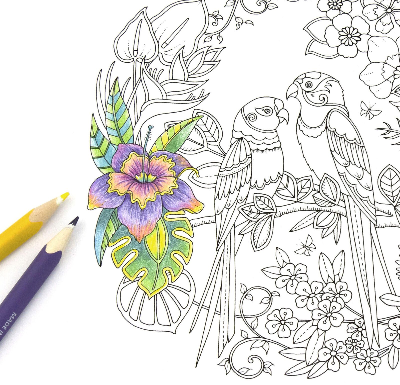 STAEDTLER Buntstifte ergosoft® Mehrfarbig