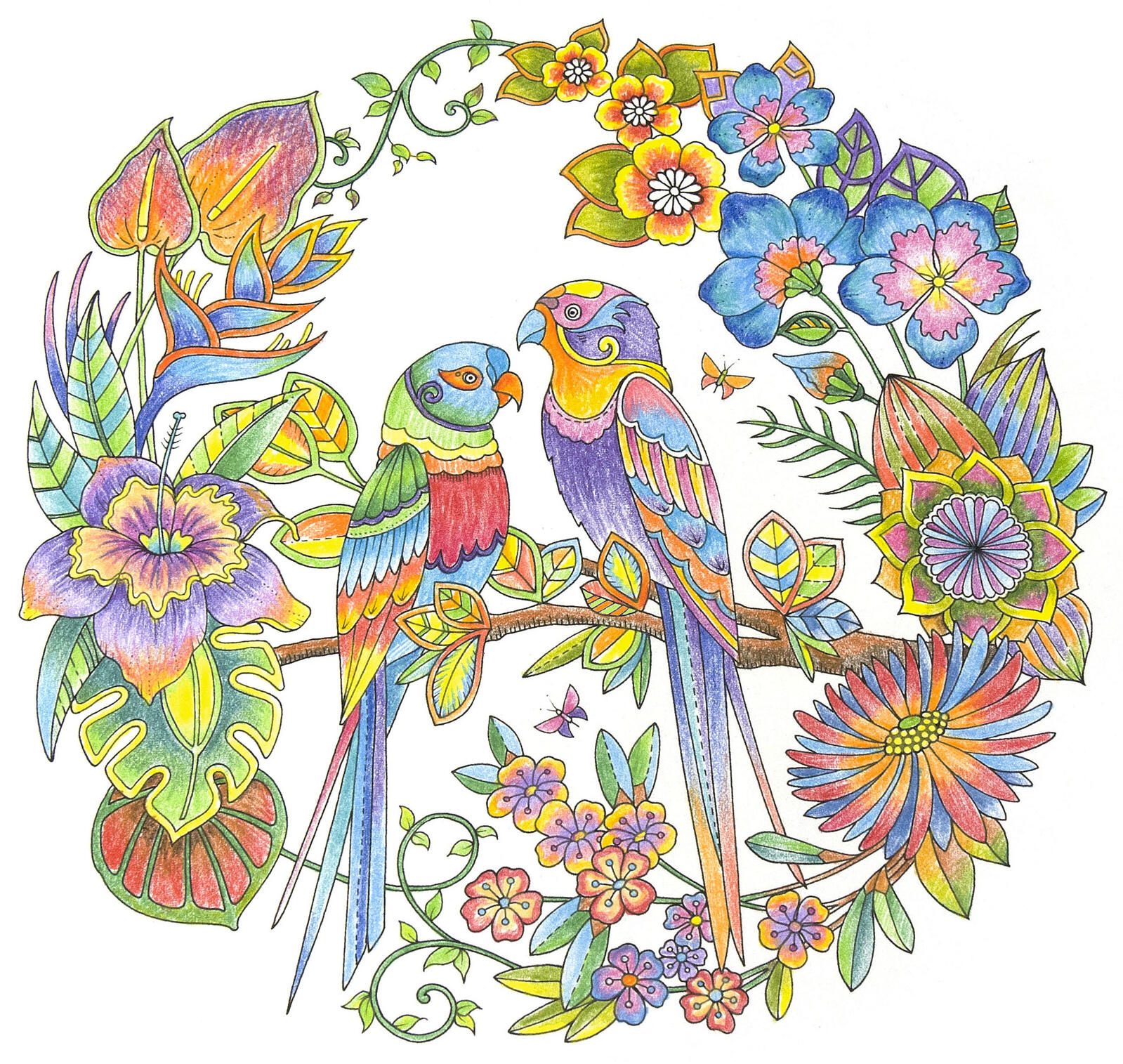 STAEDTLER Buntstifte ergosoft® Mehrfarbig
