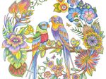 STAEDTLER Buntstifte ergosoft® Mehrfarbig