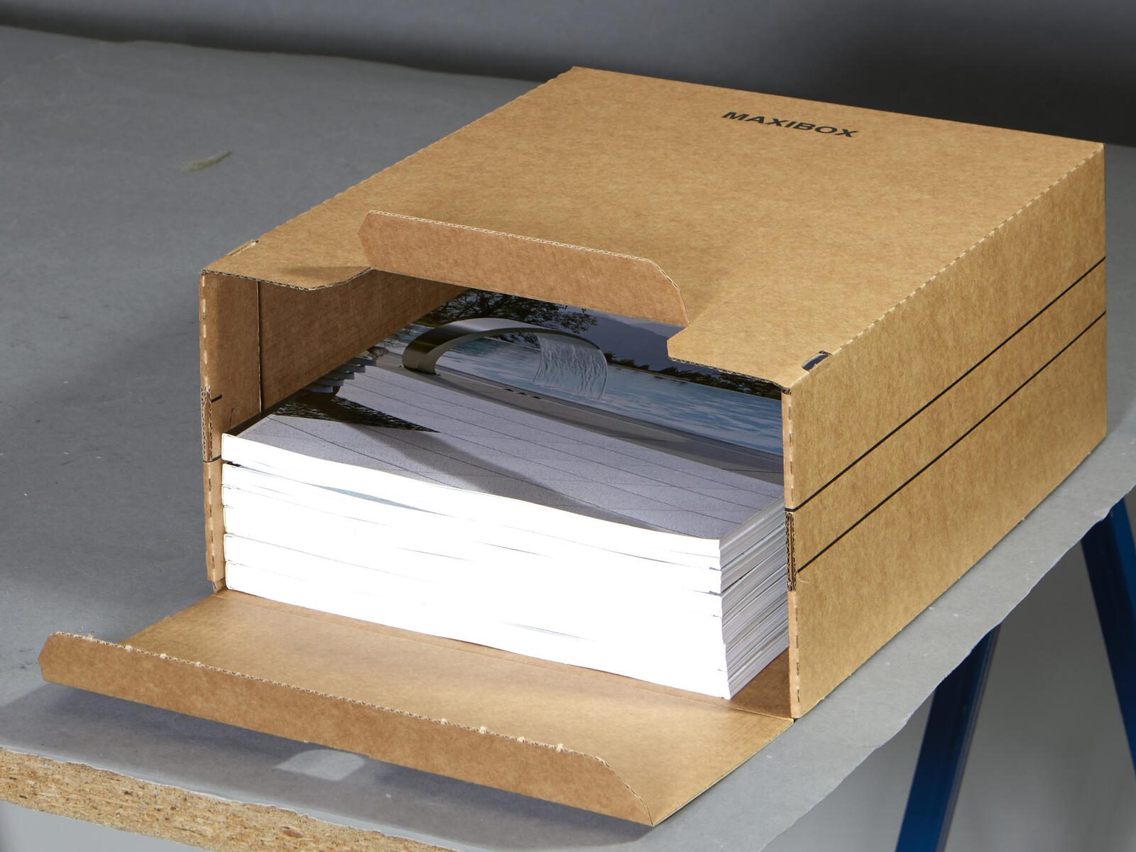 Top-Print Archivboxen für lose Dokumente 24,4 x 32,1 x 12,5 cm