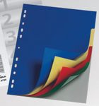 DURABLE Ordnerregister Vollformat 1-31 DIN A4