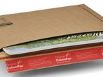 ColomPac® Kartonversandtaschen für DIN B5+ braun