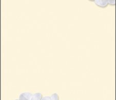 SIGEL White Orchid Motivpapier DIN A4 90 g/m²