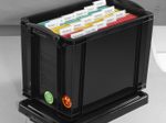Really Useful Box Aufbewahrungsbox 19,0 l - 39,5 x 25,5 x 29,0 cm schwarz