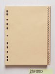 Ordnerregister Vollformat 1-31 DIN A4