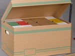 Cartonia Archivcontainer für individuelle Aufbewahrung 54,8 x 36,4 x 26,8 cm